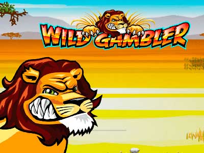 2016122813428-wild-gambler-playtech